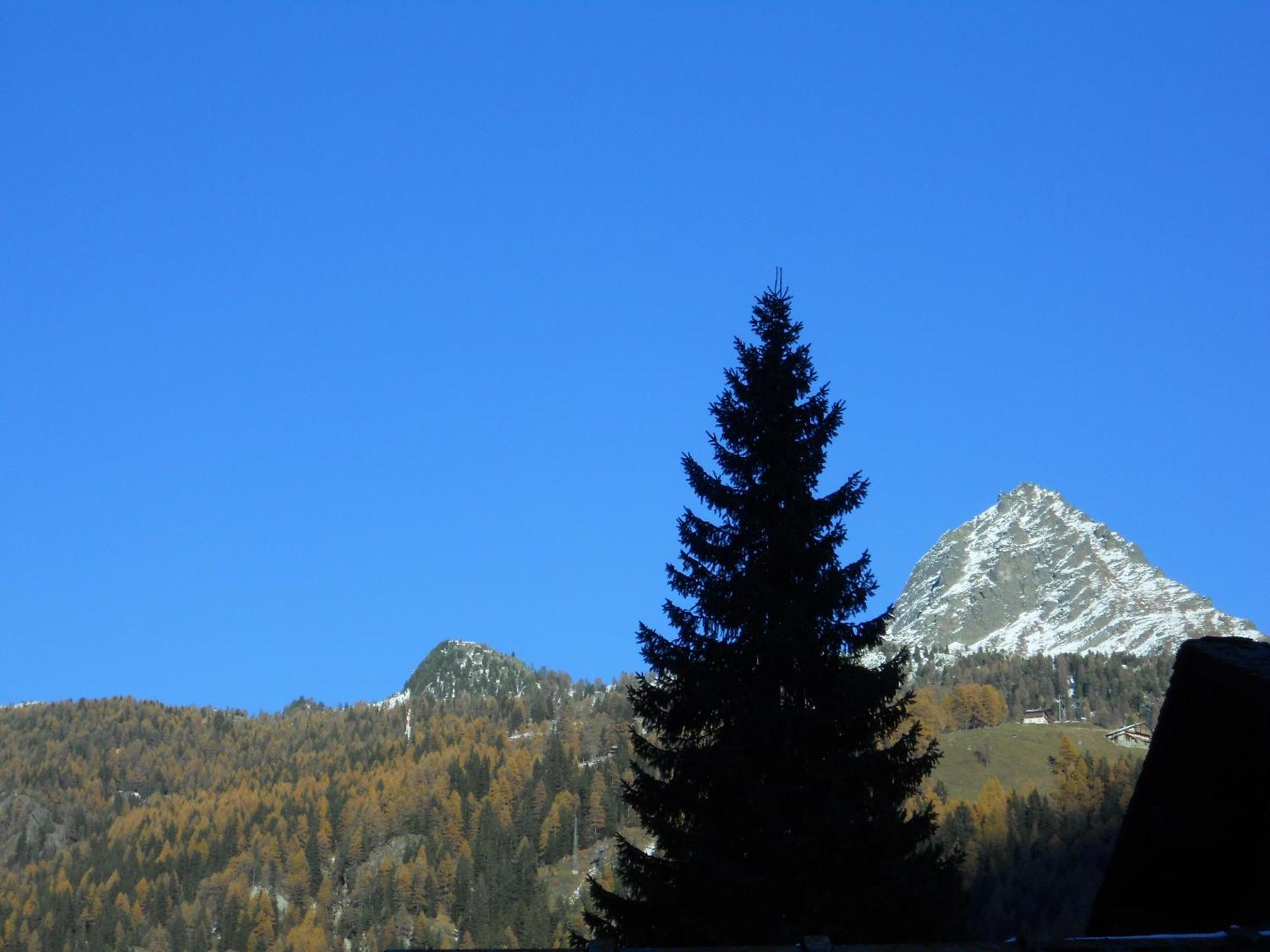 Affittacamere Petit Coeur Champoluc Buitenkant foto
