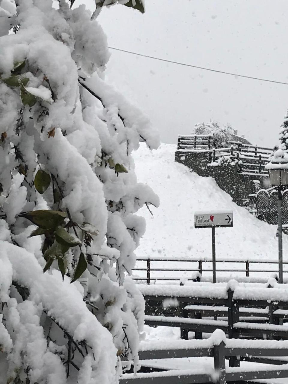 Affittacamere Petit Coeur Champoluc Buitenkant foto